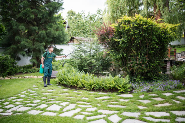 Best Insect Control  in Cambridge, WI