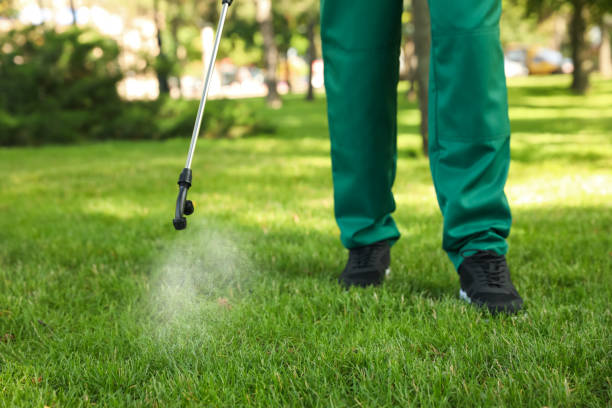 Best Rat Extermination Near Me  in Cambridge, WI